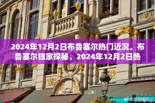 布鲁塞尔独家探秘,揭秘2024年12月2日布鲁塞尔热门近况全解析