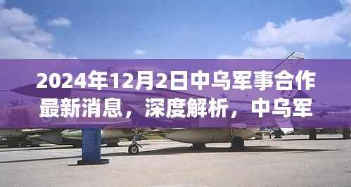 中乌军事合作最新动态深度解析,最新消息与合作特点探讨(2024年视角)