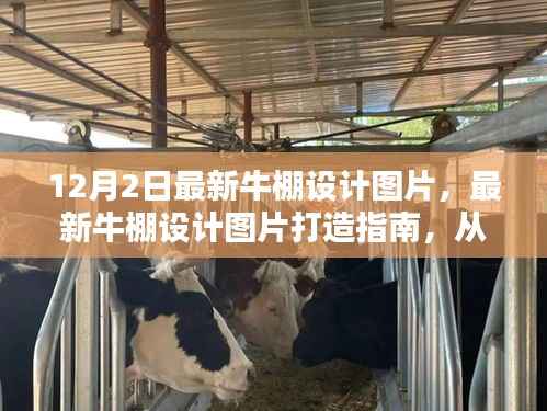 最新牛棚设计图片打造指南，从初学者的起步到完美牛棚设计之旅（附12月最新设计图）