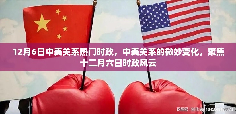 中美关系的微妙变化,聚焦十二月六日时政风云的最新动态