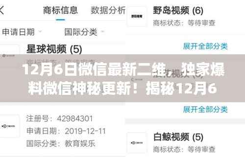 揭秘微信新功能升级全攻略,独家爆料微信神秘更新,最新二维功能升级解析🌟(附日期)