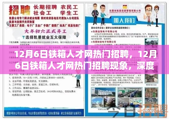 12月6日铁箱人才网热门招聘现象深度解析与观点阐述