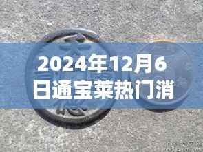 通宝莱2024年12月6日,温馨日常与奇遇友情的交织