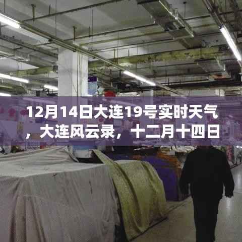 探寻大连风云录,十二月十四日大连十九号天气的独特印记