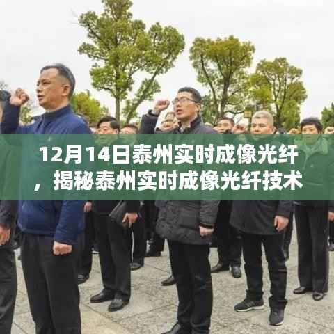 揭秘泰州实时成像光纤技术,前沿科技照亮未来之路发展动态解析