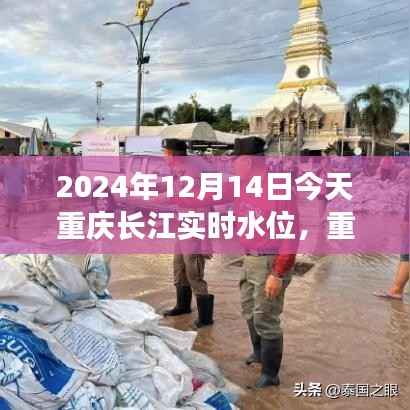 chengxinchengyi 第3页