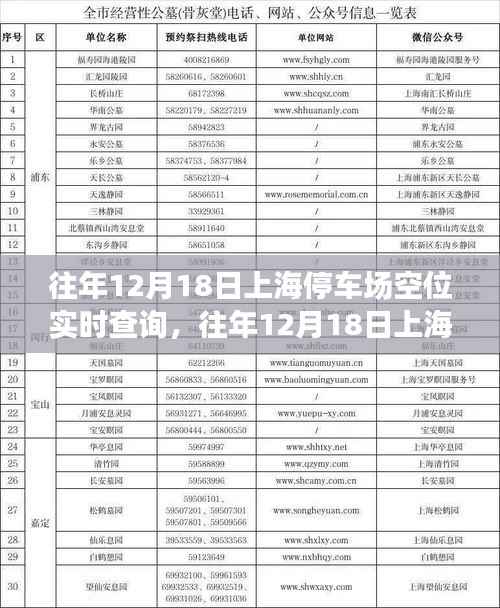往年12月18日上海停车场空位实时查询，多方观点与个人立场解析