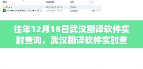 武汉翻译软件实时查询的历史脉络与深远影响,历年12月18日回顾分析