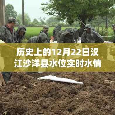 揭秘汉江沙洋县历史水位变迁,实时水情回顾与深远影响分析