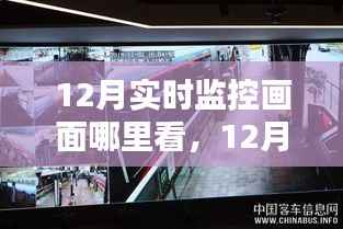 12月监控画面探家温馨陪伴,实时观察家的温暖瞬间