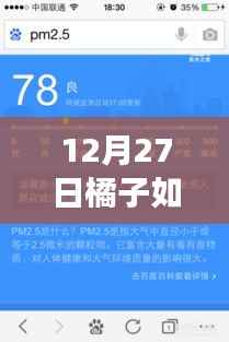 橘子抢单记,寻找内心平静的实时单冒险之旅,12月橘子抢单攻略