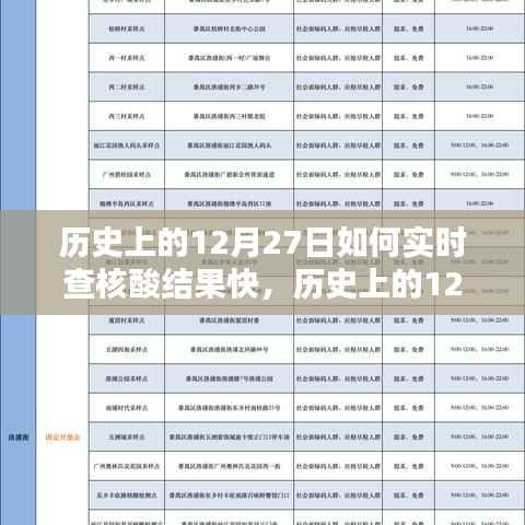 历史上的12月27日,核酸结果实时查询系统深度评测与快速查询技巧
