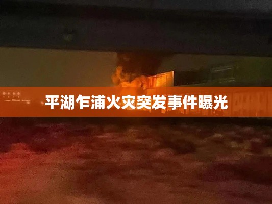 平湖乍浦火灾突发事件曝光
