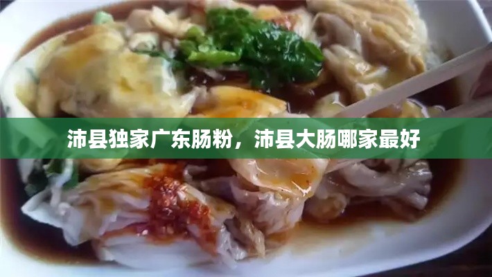 资料下载 第242页