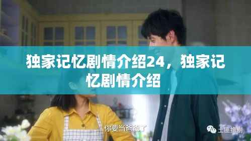 独家记忆剧情介绍24,独家记忆剧情介绍