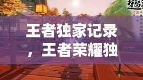 王者独家记录,王者荣耀独家记忆在哪里看