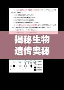 揭秘生物遗传奥秘,高一生物遗传专题详解