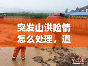 瑞雪纷飞 第3页