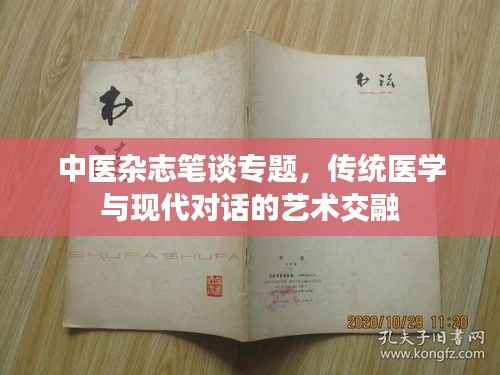 中医杂志笔谈专题，传统医学与现代对话的艺术交融