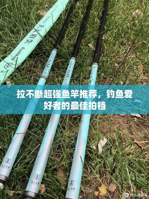 资料下载 第228页