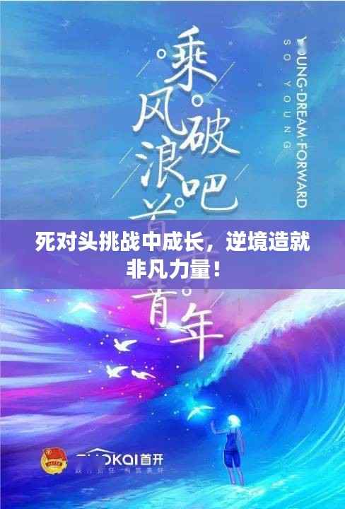死对头挑战中成长,逆境造就非凡力量!