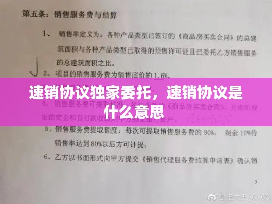 速销协议独家委托,速销协议是什么意思