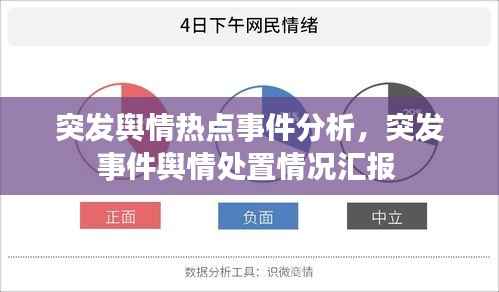 突发舆情热点事件分析,突发事件舆情处置情况汇报