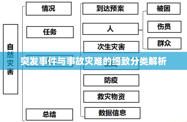 突发事件与事故灾难的细致分类解析