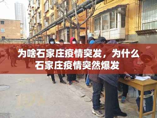为啥石家庄疫情突发,为什么石家庄疫情突然爆发
