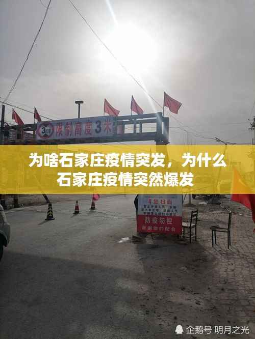 为啥石家庄疫情突发,为什么石家庄疫情突然爆发