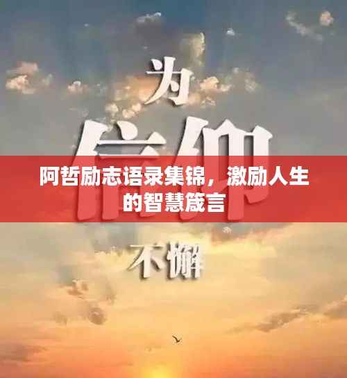 阿哲励志语录集锦,激励人生的智慧箴言