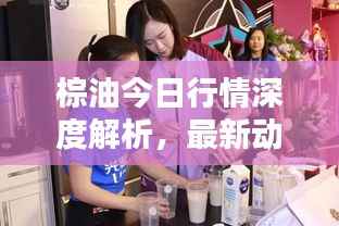 棕油今日行情深度解析，最新动态一网打尽