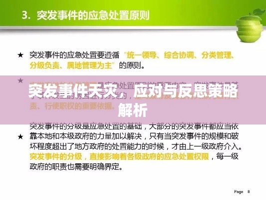 突发事件天灾,应对与反思策略解析