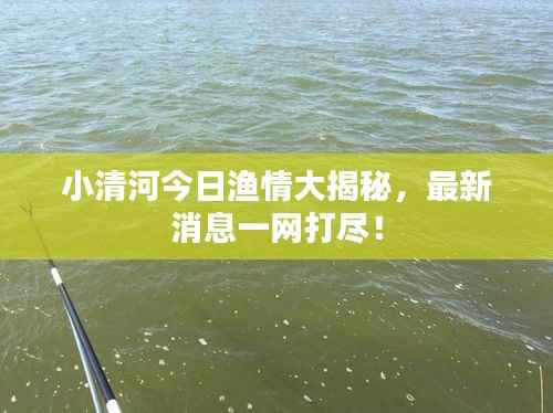 小清河今日渔情大揭秘,最新消息一网打尽!