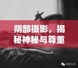 阴部摄影,揭秘神秘与尊重的平衡艺术