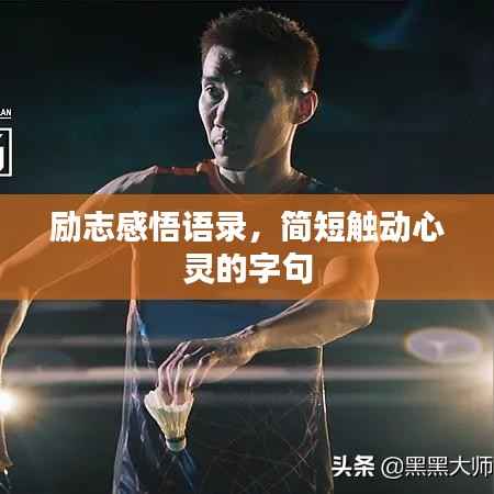 励志感悟语录,简短触动心灵的字句