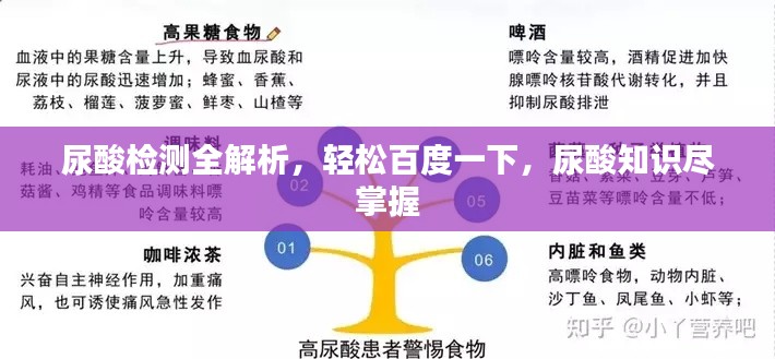 尿酸检测全解析,轻松百度一下,尿酸知识尽掌握