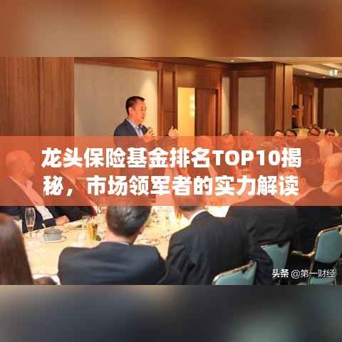 龙头保险基金排名TOP10揭秘,市场领军者的实力解读
