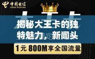揭秘大王卡的独特魅力,新闻头条不容错过!