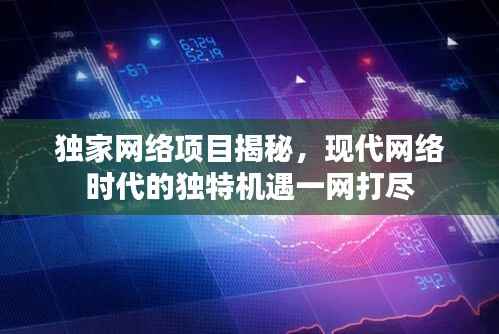 独家网络项目揭秘,现代网络时代的独特机遇一网打尽