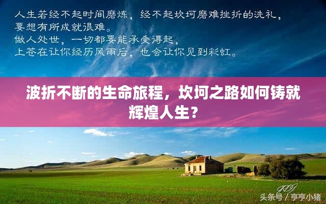 波折不断的生命旅程,坎坷之路如何铸就辉煌人生?