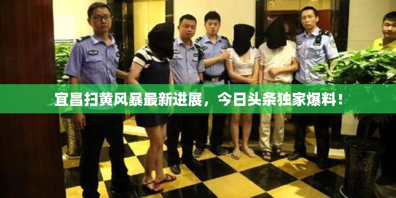 宜昌扫黄风暴最新进展，今日头条独家爆料！