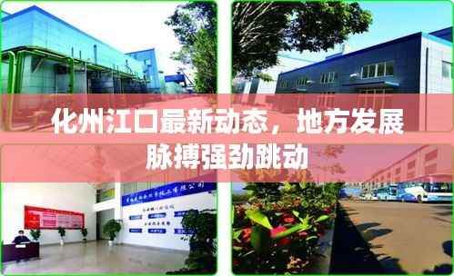 化州江口最新动态,地方发展脉搏强劲跳动