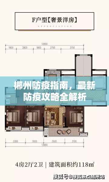郴州防疫指南,最新防疫攻略全解析