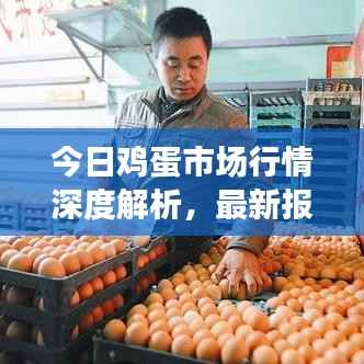 今日鸡蛋市场行情深度解析,最新报价报表一网打尽