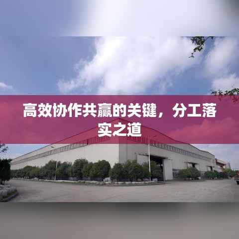 高效协作共赢的关键,分工落实之道