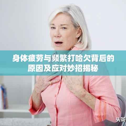 联系我们 第145页