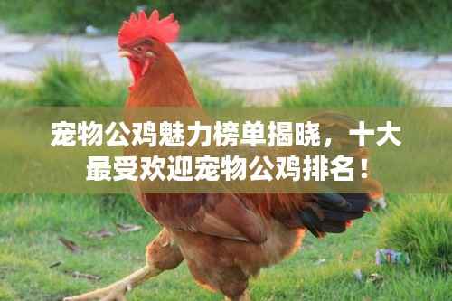 飞流直下 第2页