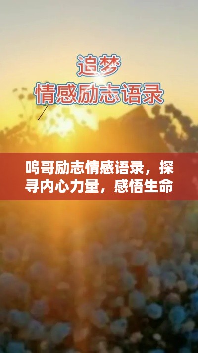 鸣哥励志情感语录,探寻内心力量,感悟生命真谛