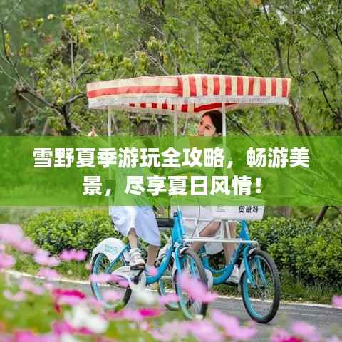 雪野夏季游玩全攻略，畅游美景，尽享夏日风情！